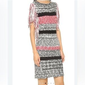 NWT Endless Rose | Colorblock Fringe Sleeve Sweater Dress 
Size Small